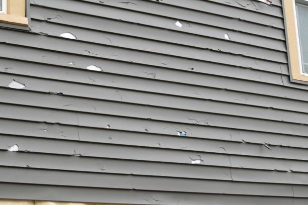 Best Custom Trim and Detailing for Siding  in Standish, MI